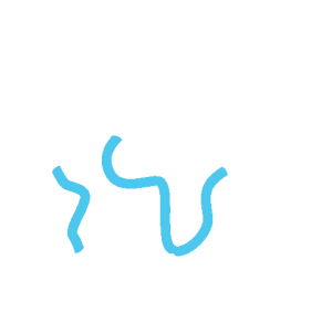 Commitment to the environment