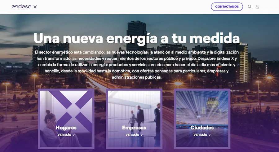1. Endesa X
